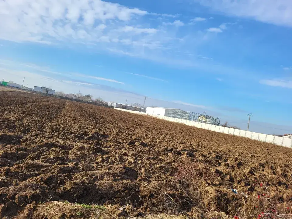 Teren Moara Vlasiei 18000 mp Industrial cu acces rapid Nod Autostrada A3 principala